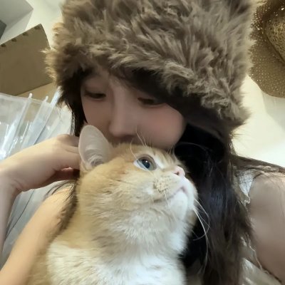 汉化日记 海报